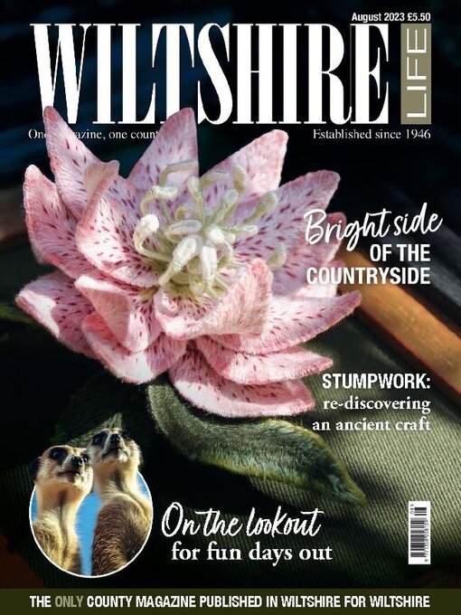 Title details for Wiltshire Life by Mark Allen Business & Leisure - Available